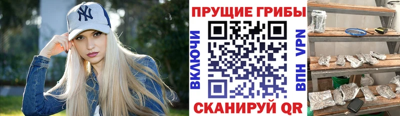 Купить закладки  Боровичи  Псилоцибиновые грибы мухоморы 